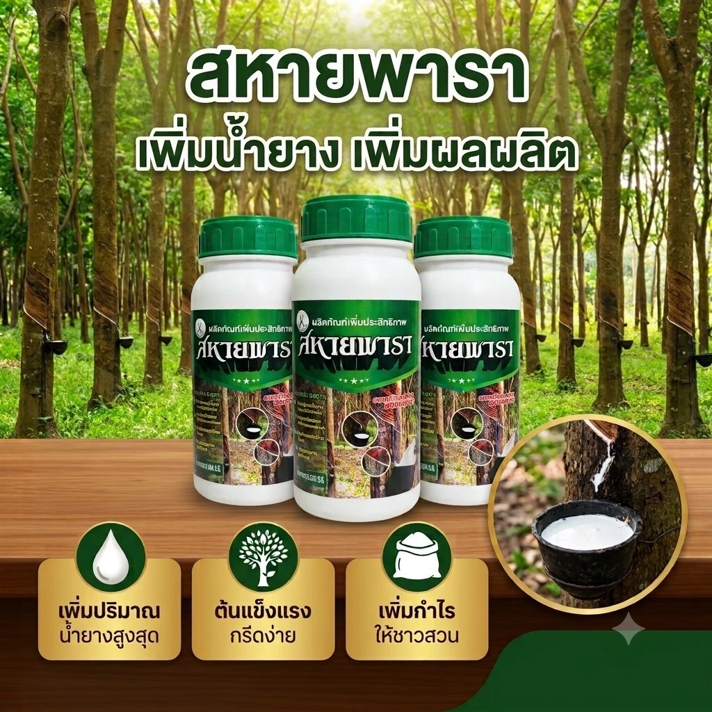 สหายพารา สารทาหน้ายาง มีกรดอะมิโน เพิ่มน้ำยาง ตัวช่วยกรีดผ่าแล้ง ขนาด500cc