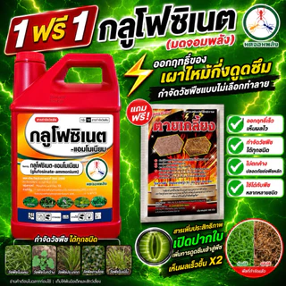 (1ฟรี1 )กลูโฟซิเนต ขนาด 4 ลิตร (มดจอมพลัง) ออกฤทธิ์เผาไม้กึ่งดูดซึม (สูตรพิเศษ) (แถมฟรีตายเกลี้ยงเข้มข้น1 ซอง)