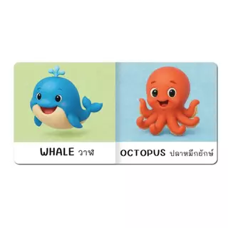 หนังสือบอร์ดบุ๊ค boardbook คำศัพท์ ปกหนา ฉีกขาดยาก