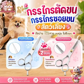 Boqi Factory กรรไกรตัดขน + กรรไกรซอยขนสัตว์เลี้ยง สแตนเลส สำหรับสุนัขและแมว มีให้เลือก 2 แบบ Scissors