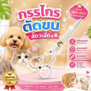 Boqi Factory กรรไกรตัดขน + กรรไกรซอยขนสัตว์เลี้ยง สแตนเลส สำหรับสุนัขและแมว มีให้เลือก 2 แบบ Scissors