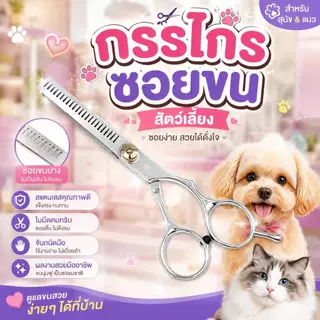 Boqi Factory กรรไกรตัดขน + กรรไกรซอยขนสัตว์เลี้ยง สแตนเลส สำหรับสุนัขและแมว มีให้เลือก 2 แบบ Scissors