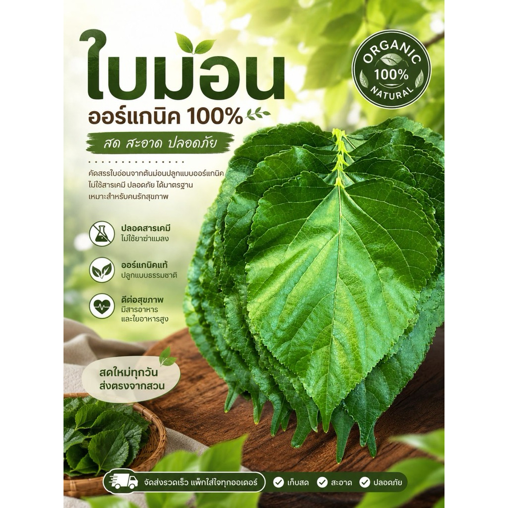 ใบหม่อน ออร์แกนิคสด 100ใบ คัดใบ สดใหม่จากสวน ปลอดสารเคมี อาหารสัตว์