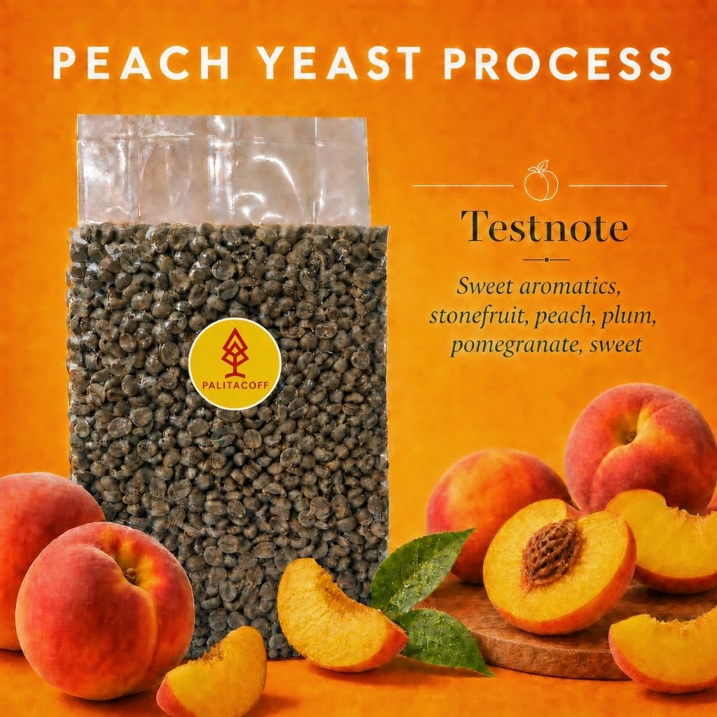 กาแฟสาร ยีสต์พีช : Natural​ Peach​ Yeast Process ,Green coffee Beans