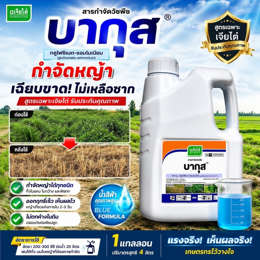 บากุส เจียไต๋ 4ลิตร กลูโฟซิเนต-แอมโมเนียม สูตรน้ำสีฟ้า คุณภาพสูงกำจัดวัชพืชได้หลากหลายออกฤทธิ์เห็นอาการไวหญ้าแห้งเร็ว