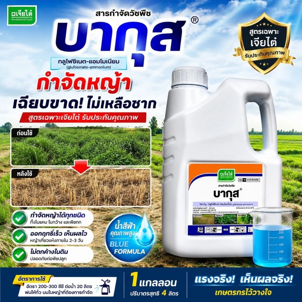 บากุส เจียไต๋ 4ลิตร กลูโฟซิเนต-แอมโมเนียม สูตรน้ำสีฟ้า คุณภาพสูงกำจัดวัชพืชได้หลากหลายออกฤทธิ์เห็นอาการไวหญ้าแห้งเร็ว