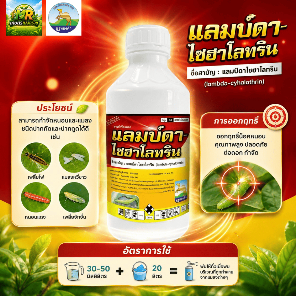 แลมบ์ดา-ไซฮาโลทริน (Lambda-cyhalothrin) 2.5% W/V EC 1L #เกษตรเมืองราช #โอเอซิส