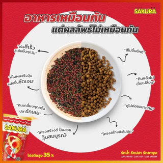 ซากุระ ขนาด 1 kg. SAKURA Gold อาหารปลาทอง ปลาหางนกยูง ปลาคราฟ เร่งสี เร่งโต เร่งวุ้น