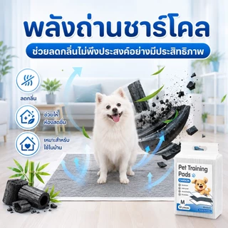แผ่นรองฉี่สัตว์เลี้ยง[ซื้อ 1 แถม 1] PETWELL ช่วยฝึกขับถ่าย ระงับกลิ่น ซึมซับไดีดี ควบคุมกลิ่นได้ 99%