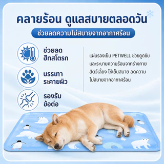 เสื่อเตียงระบายความเย็นสัตว์เลี้ยง PETWELL เจลเย็น ทำความสะอาดง่าย พกพาสะดวก ใช้ได้ทั้งในบ้านและกลางแจ้ง