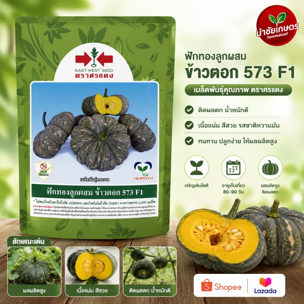 ฟักทอง ข้าวตอก573 100 กรัม เมล็ดพันธุ์ ตราศรแดง
