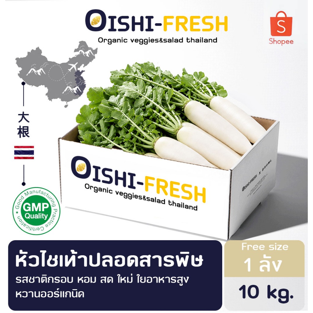 🚨ส่งด่วน🥢ร้านอาหาร🌿หัวไชเท้า ปลอดสารพิษ 10 กก. ผักร้านอาหาร ผักยกลัง ผักราคาส่ง ผักชาบู ผักโรงแรม ส่ง 24 ชม.