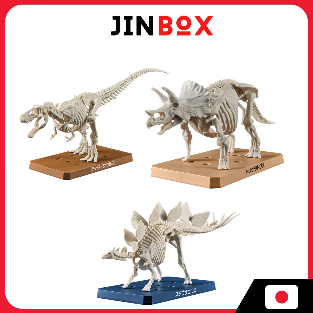 jurasic plannosaurus imaginary skeleton for child 6year over
