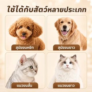 ที่ตัดขนแมว PETWELL ตัดขนสุนัข สัตว์ USB ชาร์จไฟได้ หัวกัดแบบละเอียด 5ระดับ ชุดอุปกรณ์ตัดแต่งขนสุนัข