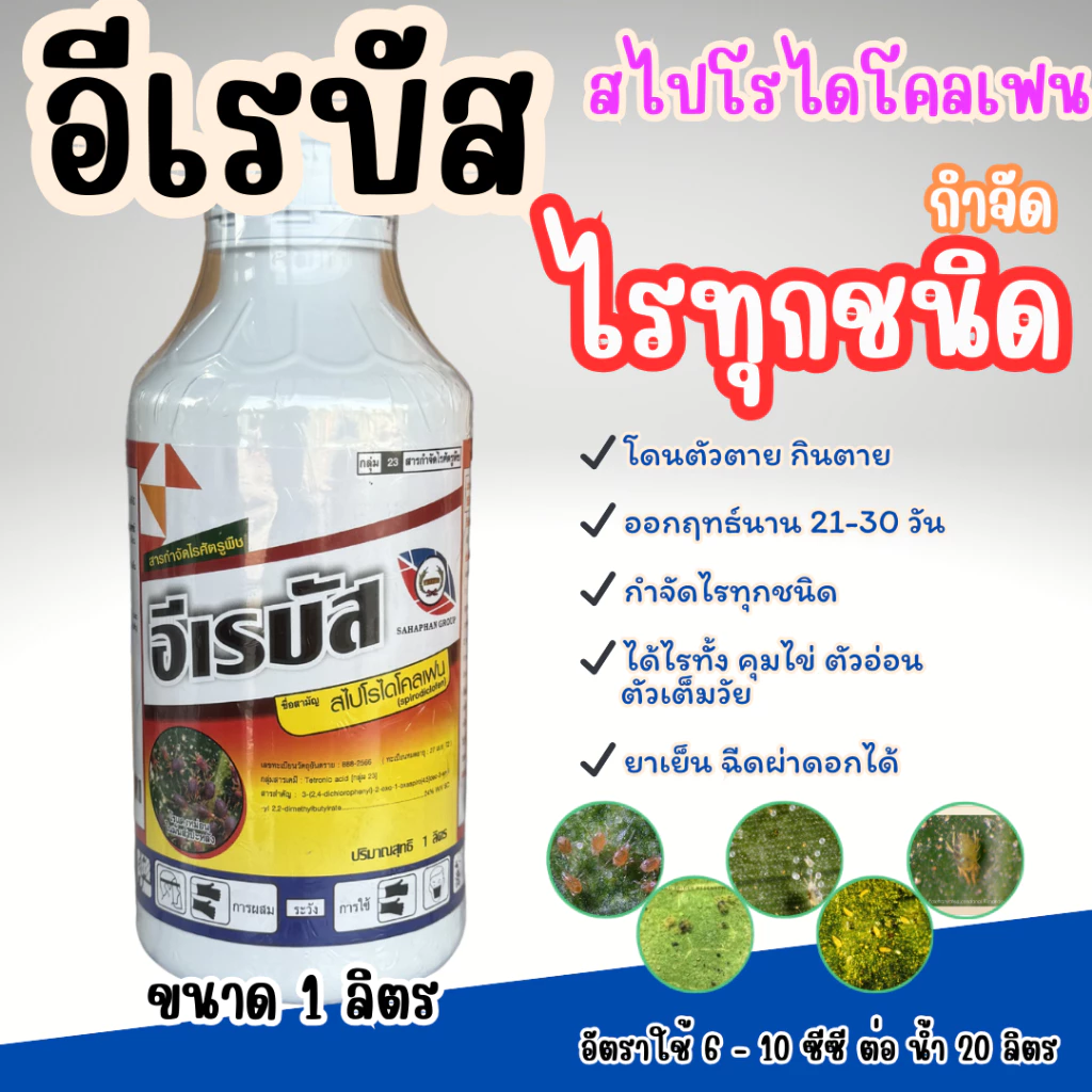 อีเรบัส 1 ลิตร สไปโรไดโคลเฟน หวีทอง ป้องกันกำจัดไรแดง ไรขาว ไรทุกชนิด ทั้งไข่ ตัวอ่อน ตัวเต็มวัย