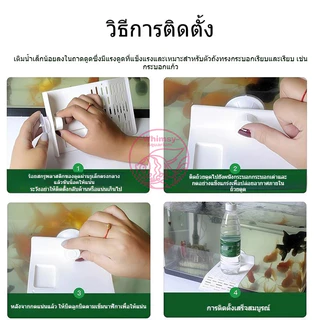บกเต่า แพลตฟอร์มยืนตากแดดสำหรับเลี้ยงเต่า ที่พักเต่า เต่าญี่ปุ่น มีที่ใส่อาหาร