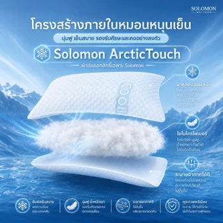 Solomon เซตหมอนหนุนเย็น 1 ใบ และหมอนข้างเย็น 1 ใบ หมอนสัมผัสเย็น ระบายอากาศดี