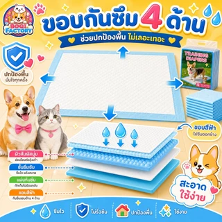 แผ่นรองฉี่สุนัขแมว Cocoyo ซับน้ำไว ดับกลิ่น แห้งเร็ว แผ่นรองฝึกขับถ่าย สำหรับสัตว์เลี้ยง