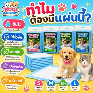 แผ่นรองฉี่สุนัขแมว Cocoyo ซับน้ำไว ดับกลิ่น แห้งเร็ว แผ่นรองฝึกขับถ่าย สำหรับสัตว์เลี้ยง
