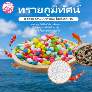 หินใส่ตู้ปลา สี หินโรยหน้าดิน ตกแต่งกระถางต้นไม้ ขนาดเล็ก สี 100g ต่อแพ็ค Colorful Stones