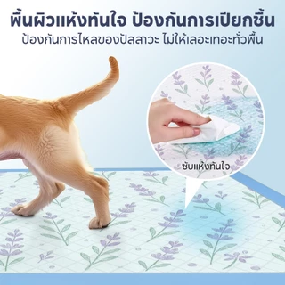 【PET RECORD】🔥 แผ่นรองซับฉี่กลิ่นลาเวนเดอร์ S/M/L/XL 100/50/40/20 แผ่น ซึมซับเร็ว ลดกลิ่น