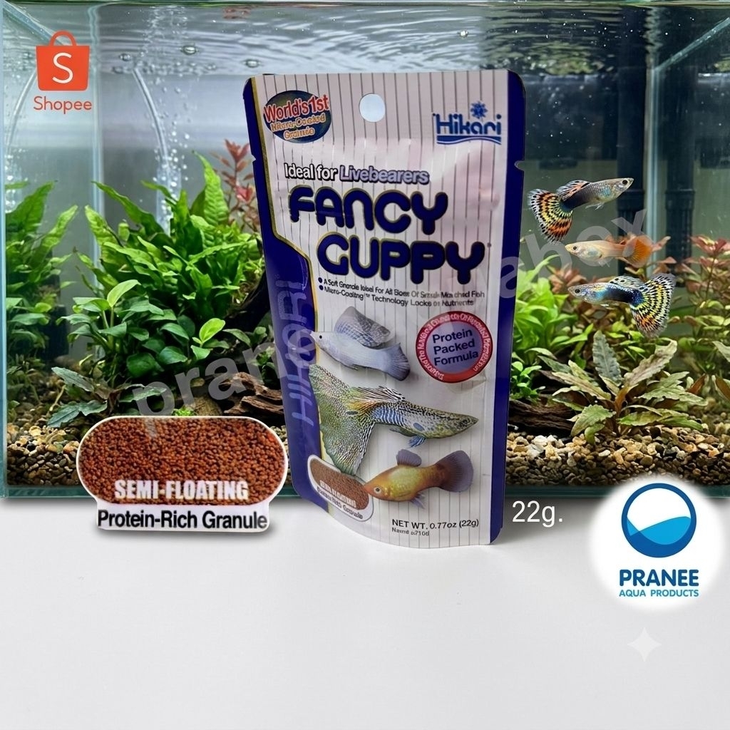 Hikari Fancy Guppy 22g. อาหารปลาหางนกยูง เม็ดลอยกลางน้ำ