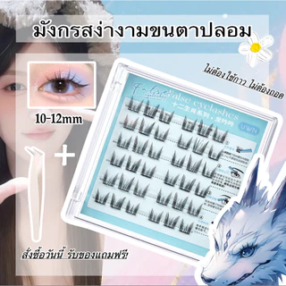 ขนตาปลอมไม่ต้องกาว ลาย12ราศี BQI/UWN ของแท้ สต็อกไทยพร้อมส่ง โปรซื้อ2แถม1
