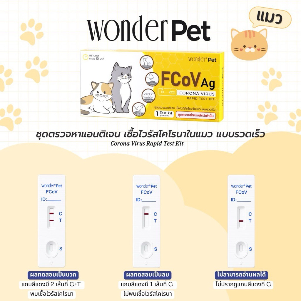 ชุดตรวจโรคลำไส้อักเสบ เชื้อโคโรนาไวรัสในแมว FCoV ใช้สำหรับสัตว์เท่านั้น