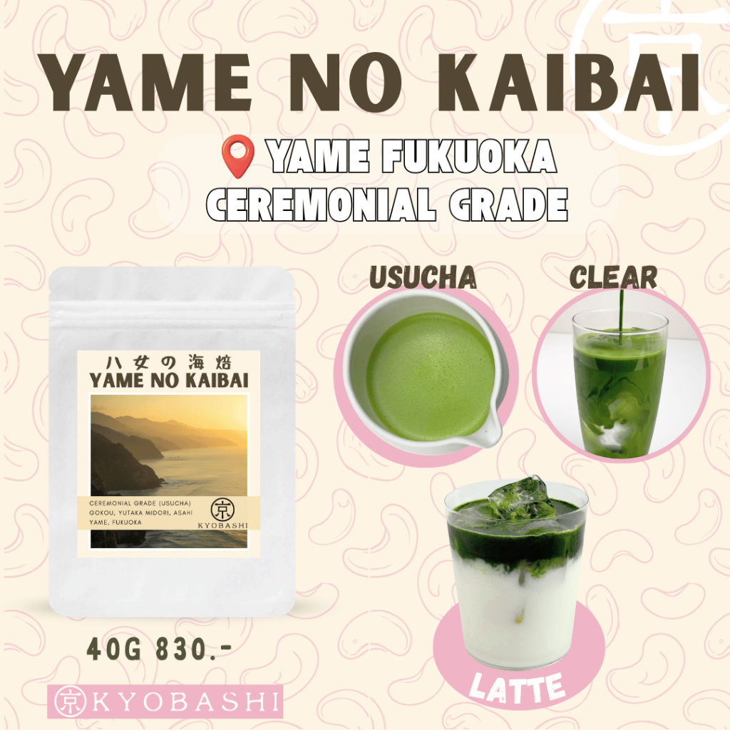 มัทฉะ Yame no Kaibai  Matcha Ceremonial Grade Usucha 40g มัทฉะยะเมะแท้ โทนนัตตี้ สาหร่ายทะเลย่างอูมามิ Clear Latte