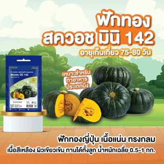 มีครบ! เมล็ดพันธุ์ ฟักทอง เจียไต๋ ทองอำไพ 426 346 ฟักทองญี่ปุ่น ทองอำพัน ทองสยาม สควอช บึงกาฬ