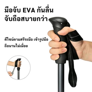 Trekking Pole ไม้เท้าปีนเขา 3 ส่วนอลูมิเนียม ยืดสูงสุด135ซม. พับเก็บ36ซม. ปรับความยาวได้ 3สีให้เลือก