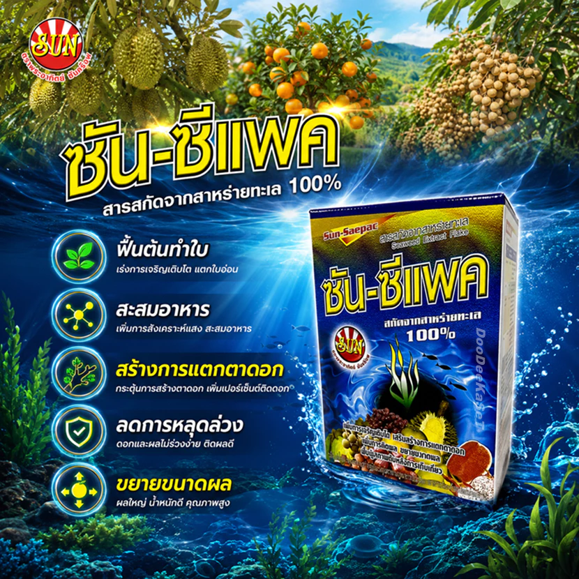 ซันซีแพค 1 กิโล สาหร่ายทะเล100% สำหรับพืชทุกชนิด นาข้าว ทุเรียน ผัก ช่วยฟื้นต้น สร้างอาหาร ขยายลูก เพิ่มน้ำหนัก