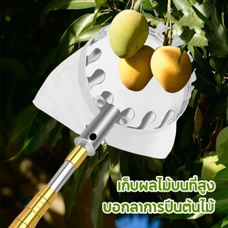 ด้ามสวิงยืดหดได้ ด้ามสไลด์ยาว3-10 เมตร เสาสแตนเลสเสายืดไสลด์ ที่สอยผลไม้ ด้ามสไลด์ยาว ด้ามสแตลเลส ด้ามสวิง