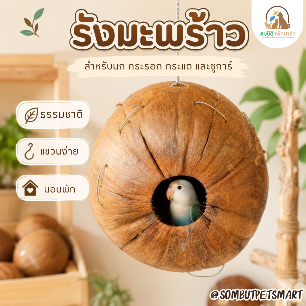 รังมะพร้าวนก รังนอนนกธรรมชาติ แบบแขวน | บ้านนกมะพร้าว สำหรับนก กระรอก กระแต ชูการ์ เลิฟเบิร์ด ฟอพัส หงส์หยก