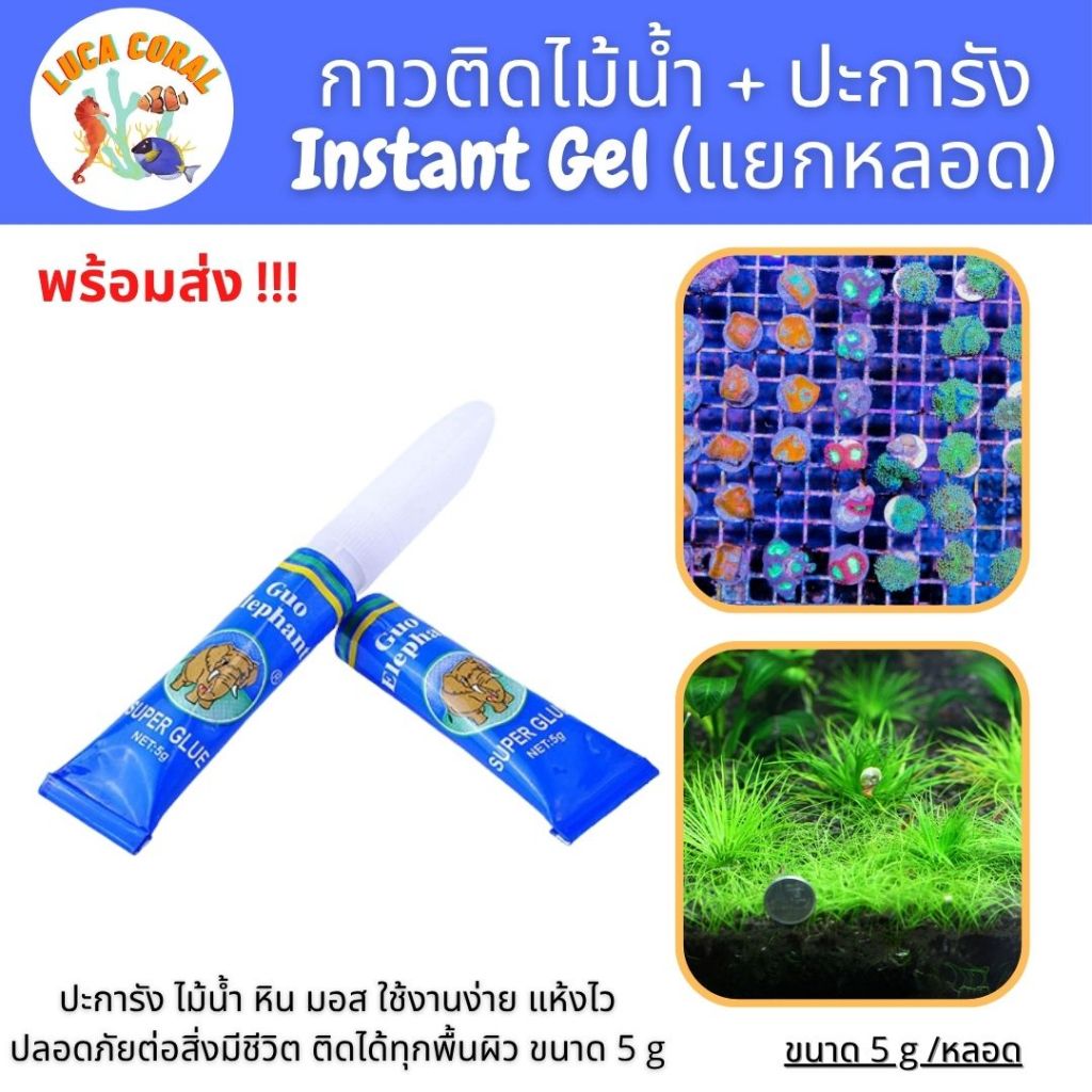(แยกหลอด) กาวติดปะการัง ไม้น้ำ หิน ต้นไม้น้ำ มอสใต้น้ำ ขนาด 5 g