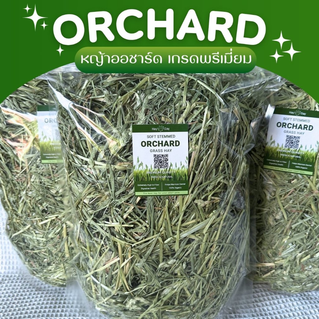 ✿หญ้าออชาร์ด✿ Orchard ร่อนฝุ่น หญ้าหวาน ก้านใบนิ่ม คัดเกรดพิเศษ พรีเมี่ยม สำหรับกระต่ายและสัตว์ฟันแทะทุกชนิด
