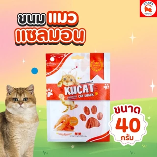 *40g.* KUCAT STICKS รสแซลมอน