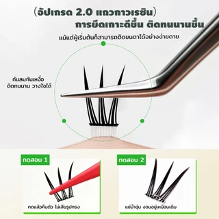 LASHSABAI ขนตาเกาหลีไม่ใช้กาว เกิร์ลกรุ๊ป ขนตาเป็นช่อ ขึ้นกล้อง ติดง่าย เบาสบายS211-213