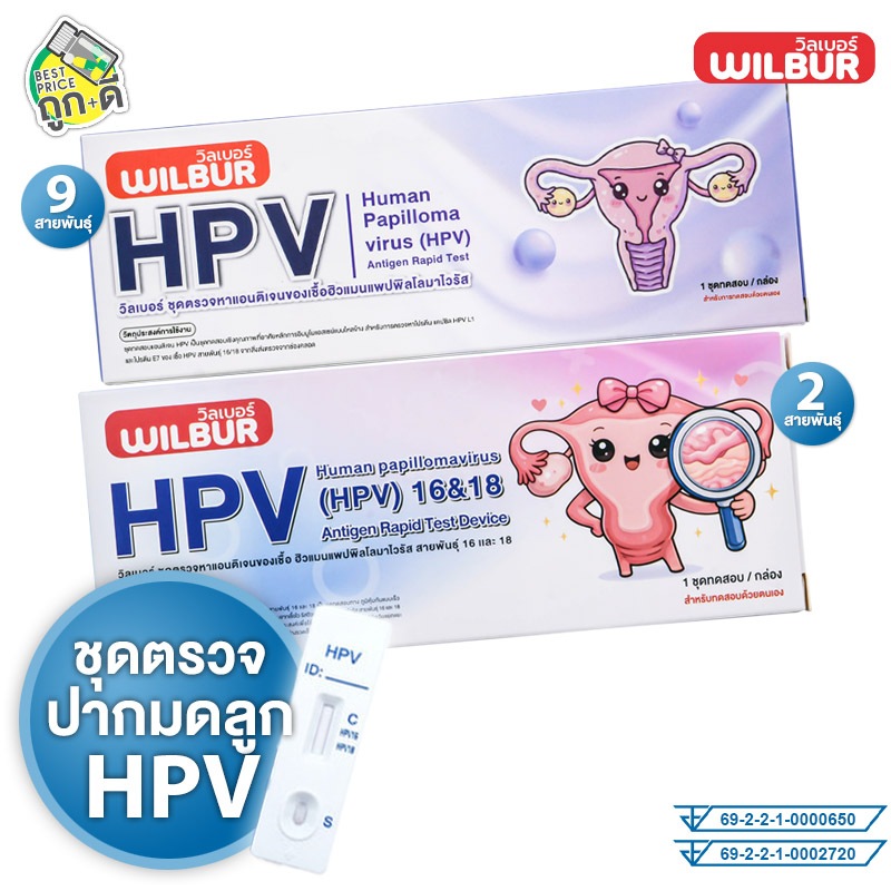 Wilbur HPV Human Papillomavirus Test Device วิลเบอร์ ชุดตรวจ เอชพีวี [สินค้ามีให้เลือก 2 แบบ][1 ชุด] ตรวจมดลูก คัดกรองคา