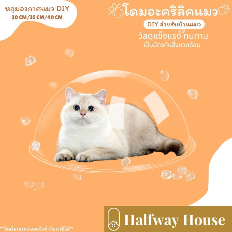 Mango หลุม นอนอวกาศ โดมอะคริลิคแมว หลุมอะคริลิค อุปกรณ์เสริมสำหรับคอนโดแมว หลุมเสริมคอนโด DIY 30/35/40cm