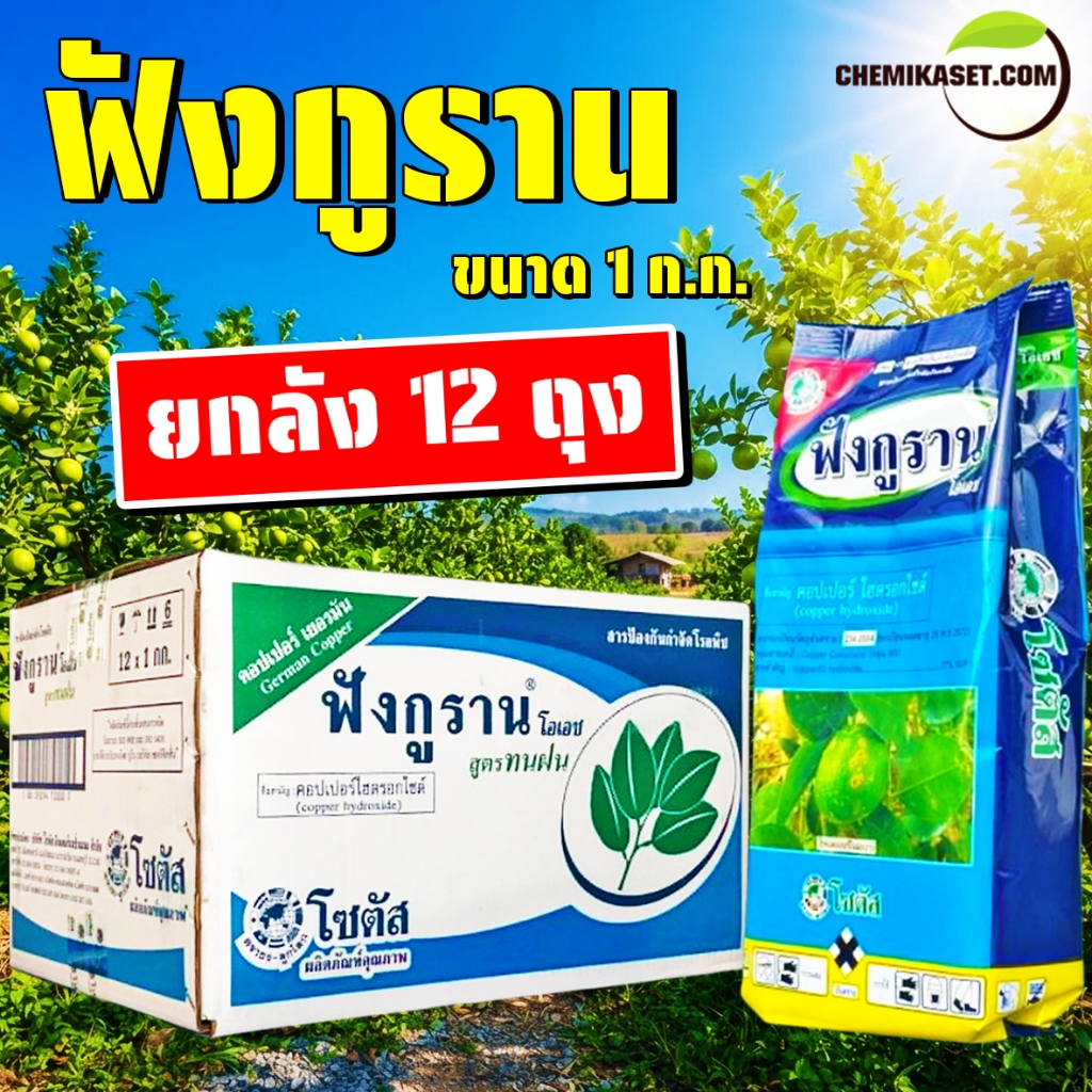(ยกลัง12ถุง) ฟังกูราน ขนาด 1 ก.ก. (สารคอปเปอร์ไฮดรอกไซด์) ใช้ป้องกันกำจัดเชื้อรา แบคทีเรีย และโรคพืช