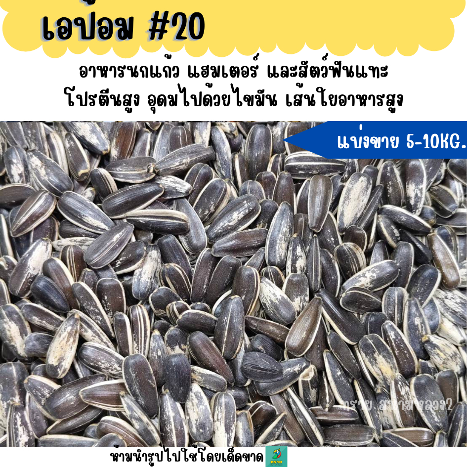 (5KG/10KG) #20 ทานตะวัน เอป้อม อาหารนกแก้ว อาหารแฮมเตอร์ และสัตว์ฟันแทะ