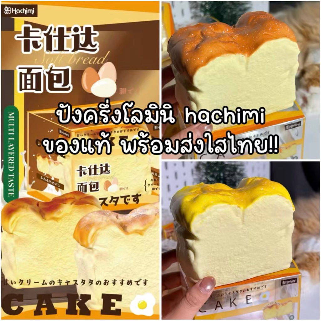 สกุชชี่ใหม่ มือ1 แท้ พร้อมส่งจากไทย(งดกดค้างนะคะ) hachimi misa mido | eggsquishy