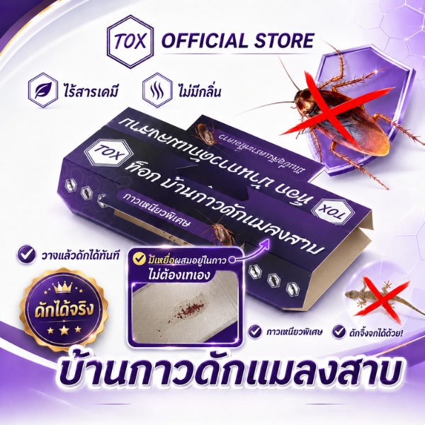 TOX บ้านกาวดักแมลงสาบ | 6หลัง เเถม 2หลัง | ดักแมลงสาบเเละจิ้งจกได้ทุกสายพันธุ์ | มีเหยื่อสังเคราะห์ในกาว | ไร้สารเคมี