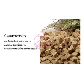 หนอนแดงฟรีซดราย อาหารปลาแห้ง หนอนอบแห้ง Freeze Dried อาหารลูกปลาทอง ปลากัด ปลาหางนกยูง ปลาบอลลูน