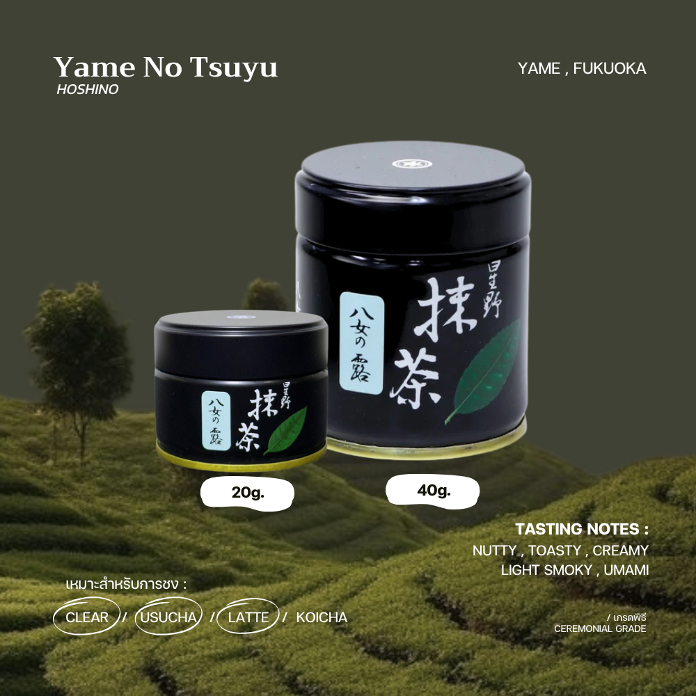 [Rei • เรย์]มัทฉะเกรดพิธี "Yame no Tsuyu (八女の露)" - HOSHINO