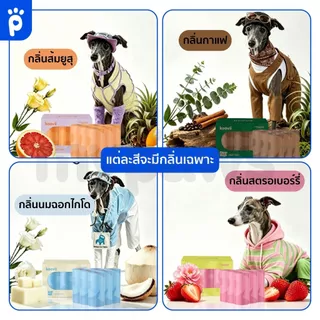 My Paws Keevii Trash Bag Storage and Poop Bag ที่ใส่ถุงเก็บอึ ถุงเก็บอึ แคปซูลใส่ถุงเก็บอึ พกพาง่าย ดีไซน์สะดุดตา