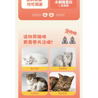 Gevel Pets - Marble Complete Meal Cup อาหารแมวมื้อหลักนุ่มละมุน 300g (50gx6ถ้วย)