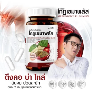 โกฐเขมาฟ้าใส บำรุงข้อเข่า กระดูกทับเส้น แก้ปวดเมื่อยร่างกาย เหน็บชา : 1 กระปุก