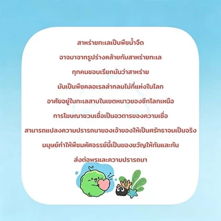 ✅พร้อมส่ง✅ เซ็ตมาริโมะ ส่งของทุกวันได้ของไว แถมฟรีวิตามินบำรุงและเกลือทะเล เหมาะสำหรับให้เป็นของขวัญสำหรับคนที่รัก